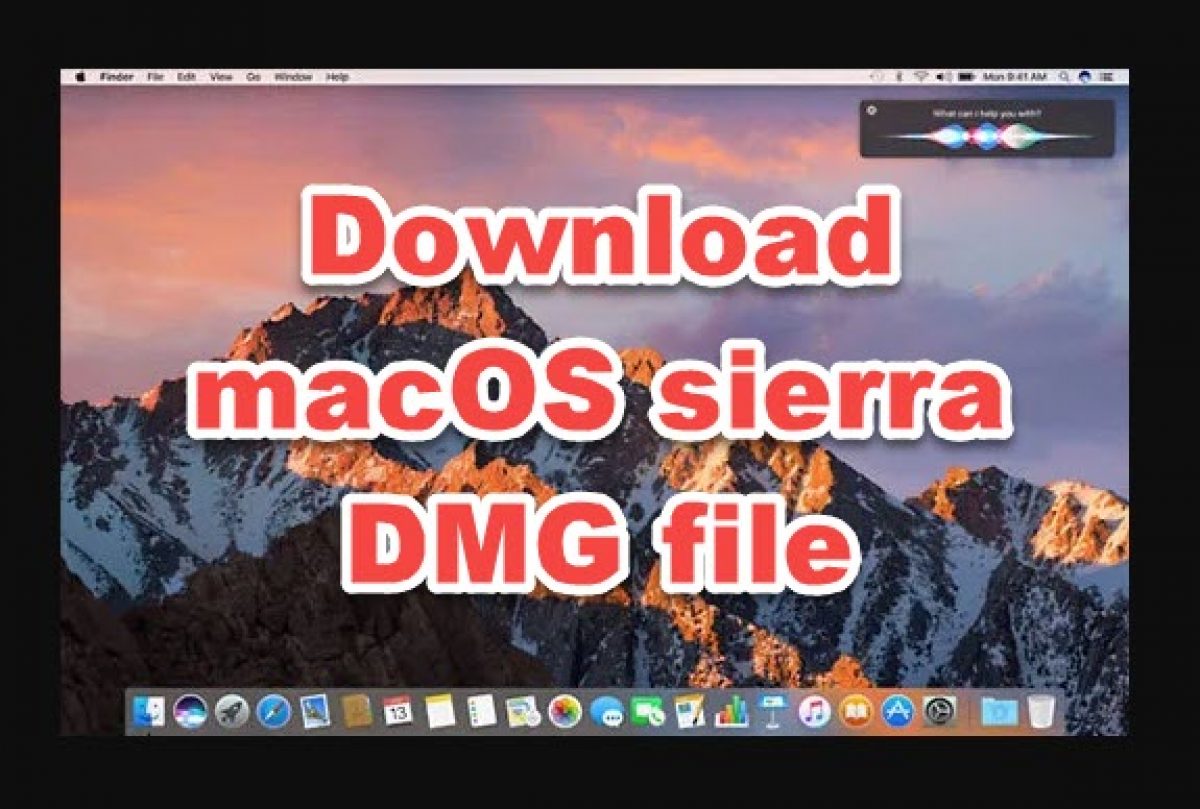 download dmg files on mac